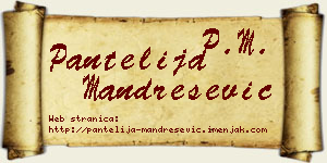 Pantelija Mandrešević vizit kartica